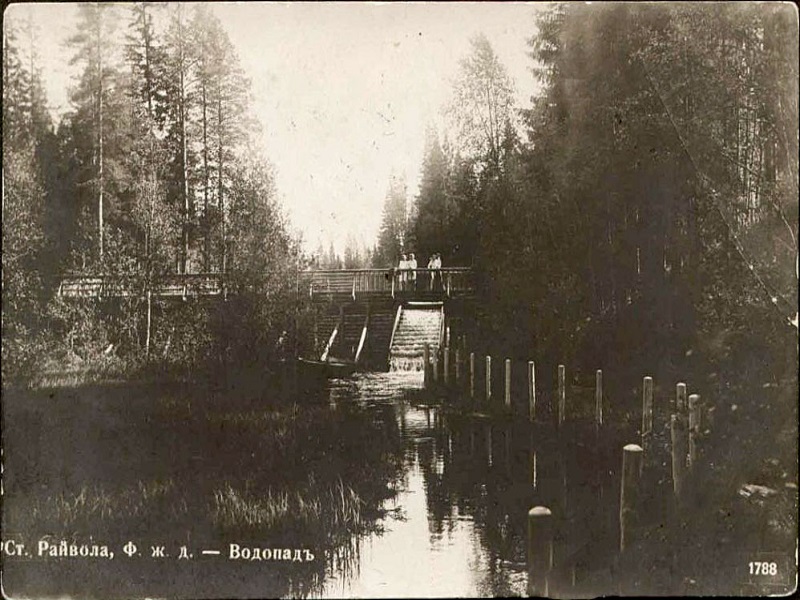 Фотографии.